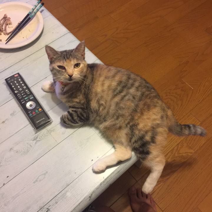 D50dd504 0fc5 4bf4 9691 28302bead469 1567523881243