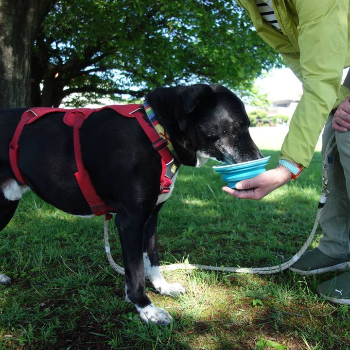 D50ddd31 aa54 47b7 97d7 b41cc4de67c6 1682556804831