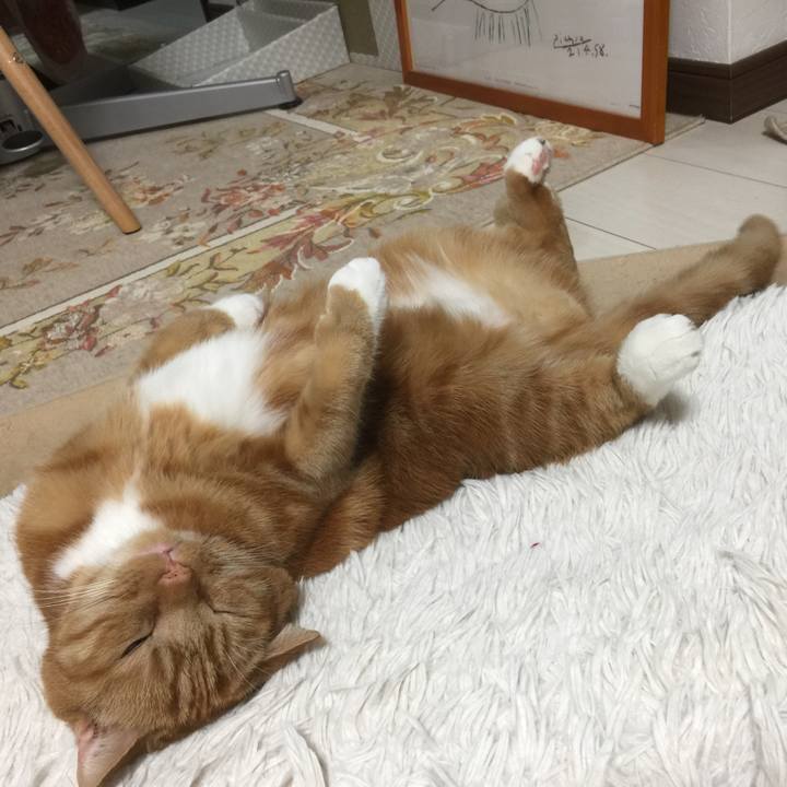 D50e1e02 ee61 48b9 873d 84b845037bbd 1583573601865