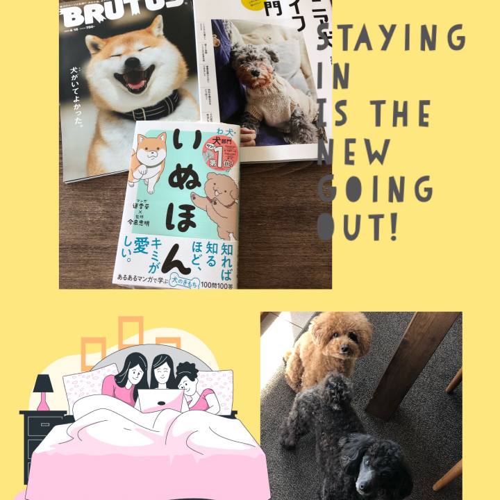 D50e3f63 892f 4324 af09 b30e9199b595 1586568476151