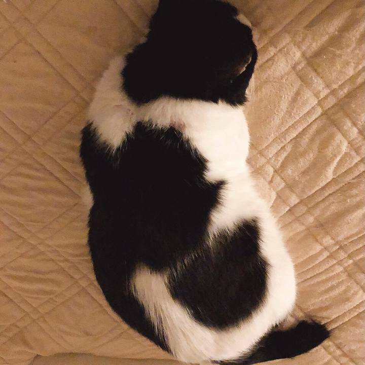 D50e6754 27f6 48e3 9da5 a61a4d0724a3 1637843974148