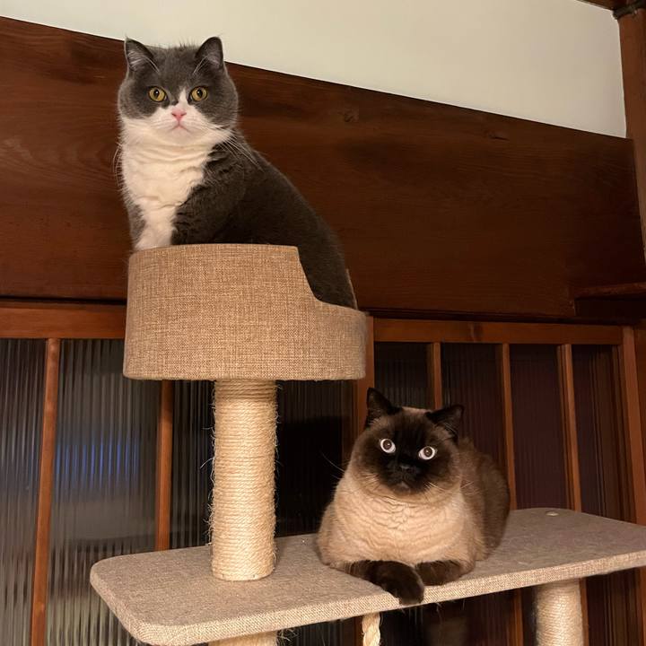 D50e9ac8 df77 4649 ae94 ebe3da23f682 1682077075213