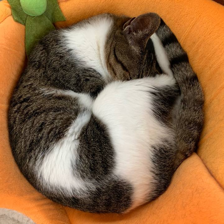 D50eba8e e71b 4ebb 8328 ae5d85fad39a 1559092363047