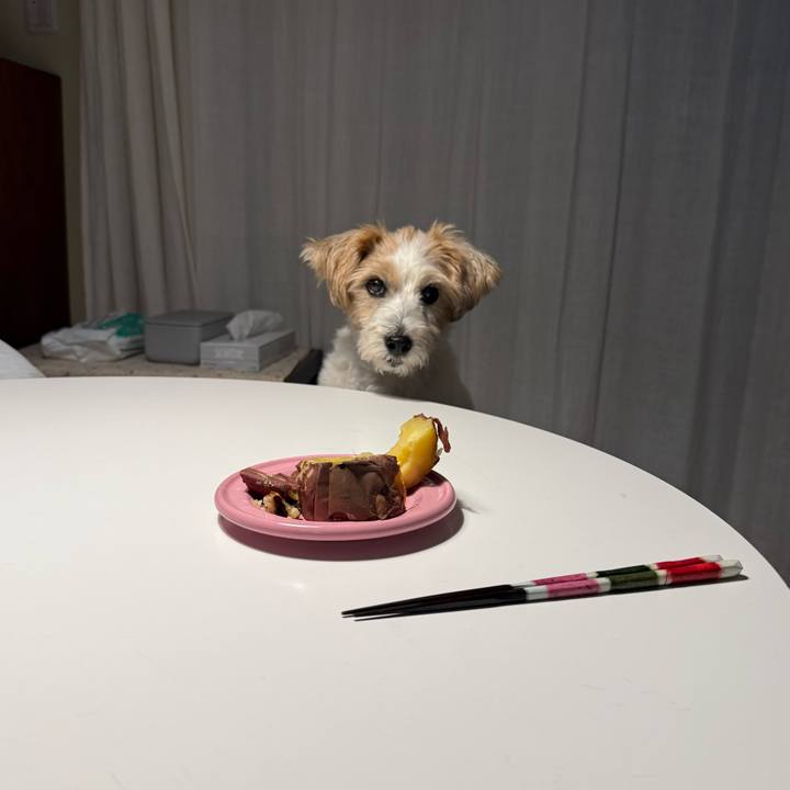 D50ed03c a938 4fb9 9fb7 e5f18f7c6ac0 1763471239738