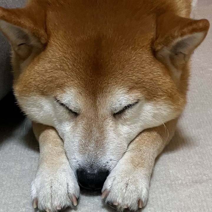 D50ed206 19ac 4645 98d2 d32b6fa12c66 1764763338462