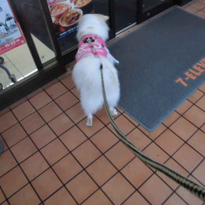 D50eed79 6499 4df2 ab86 325476326dce 1508536932698