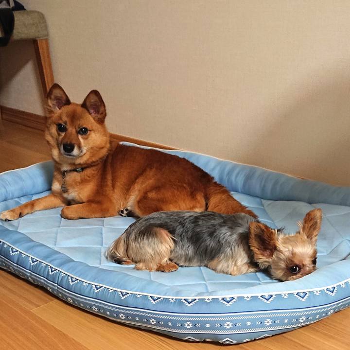 D50ef34d 5b39 420e 98af 60a12d720db2 1566687530617