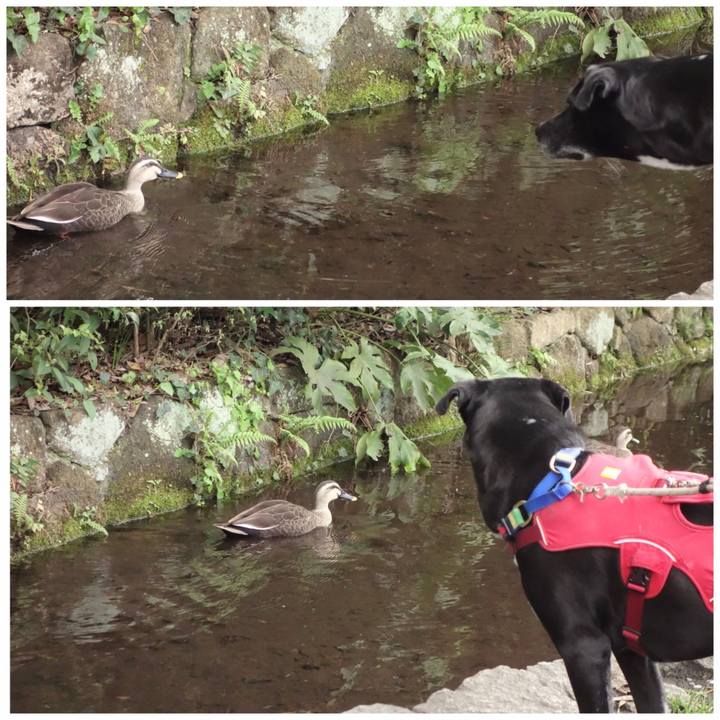 D50f3105 f998 47ea 9b1f c2813605a1cb 1680050791212