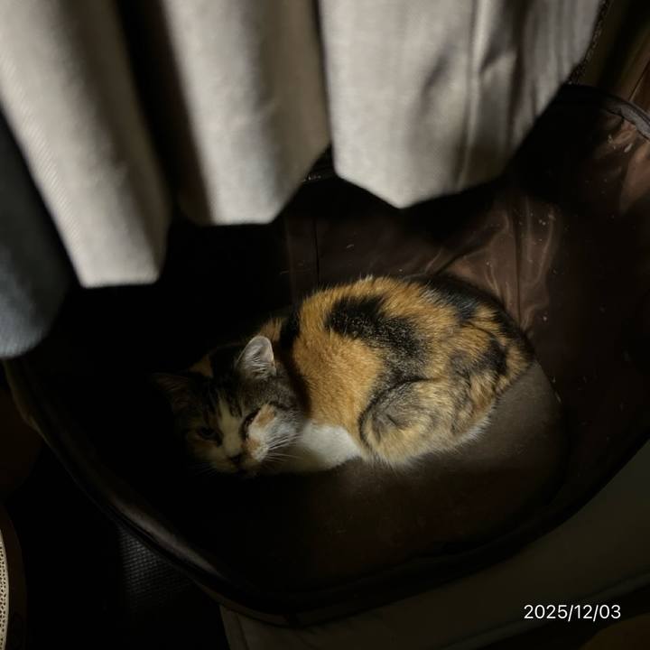 D50f63f6 68af 4dfb 955b cf2a6d92816d 1764713219609