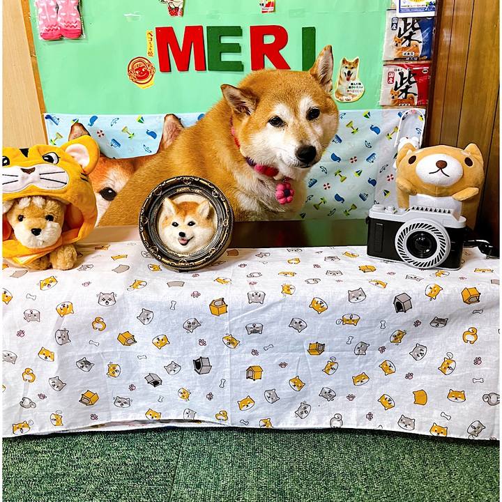 D50f8dac 5f91 4f8d 837d 10f933458cfd 1658732823251