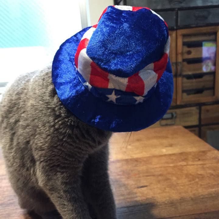 D50f9b9b 4c38 4437 b33e 74117e2c3d45 1564096763753