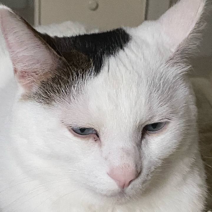 D50fa00a 743e 4e3e 9857 47b84d15d8c3 1699667328032