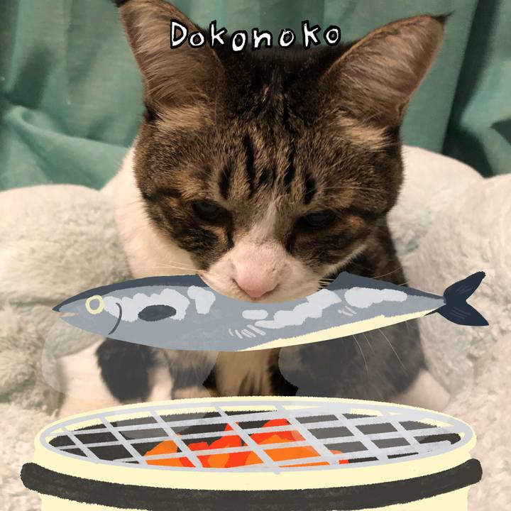 D50fa5a9 1cda 4e27 8f13 5c8de7f408ea 1762005567701