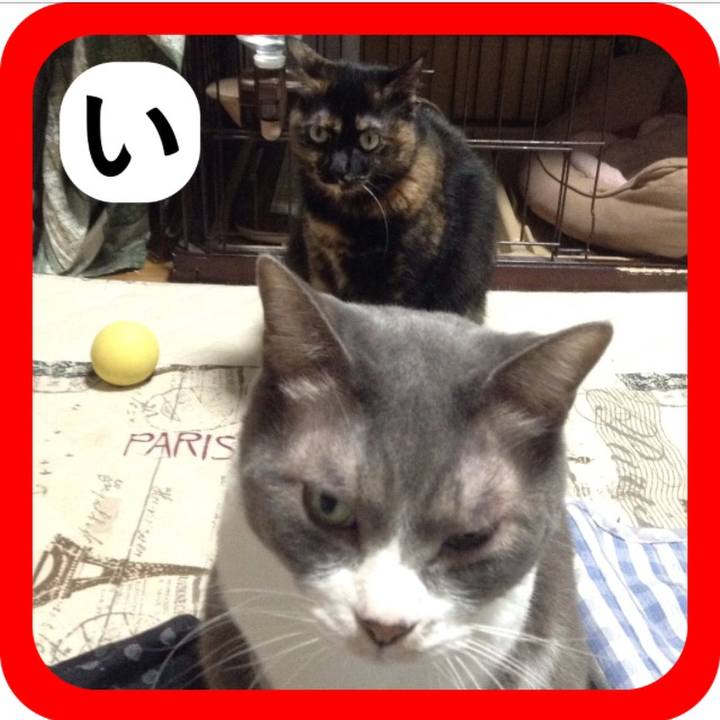 D50fd914 4678 4db0 943e c7e3da6cd5a5 1514805208166