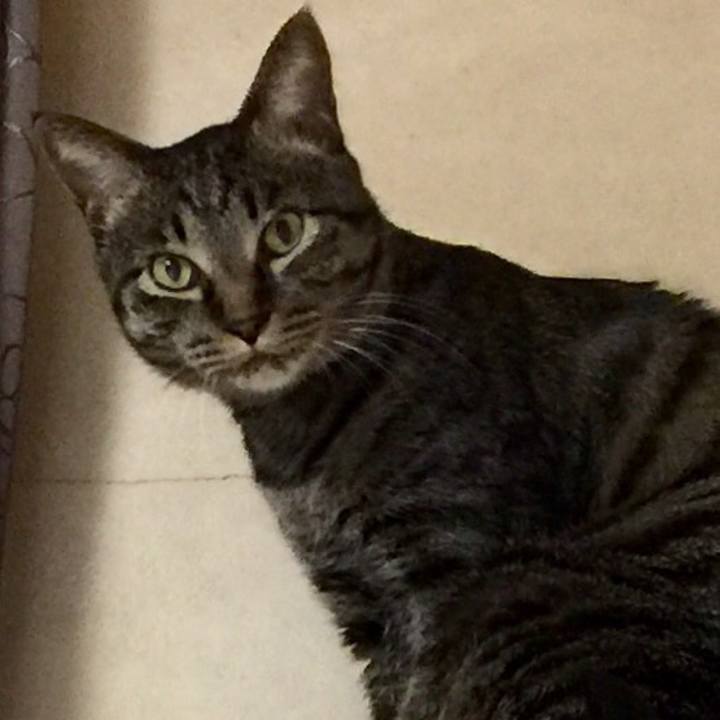 D50fec13 8c7f 4370 8dc0 2a53b1b41fe0 1521286677455