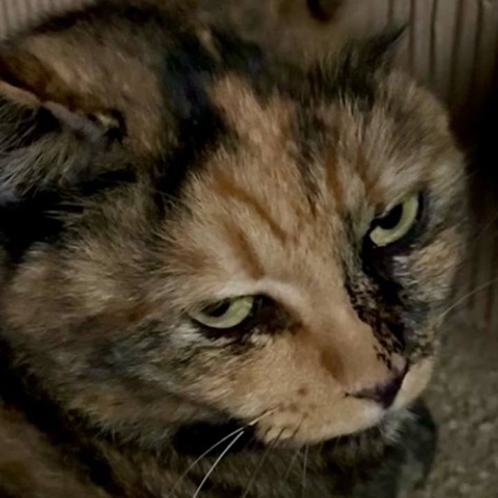 D50ff89d 732a 4b7a 8660 881822ea0a90 1758197110195