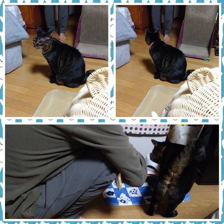 D5100d53 eb43 4af0 90fd c74df40031b2 1765371491005