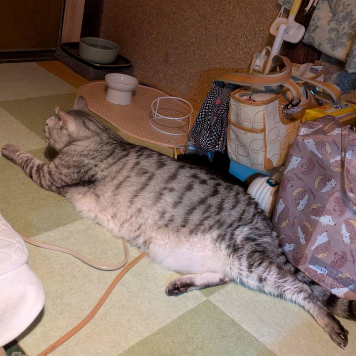 D5100ea0 78fe 42ed 819a ee514f917176 1765042337037