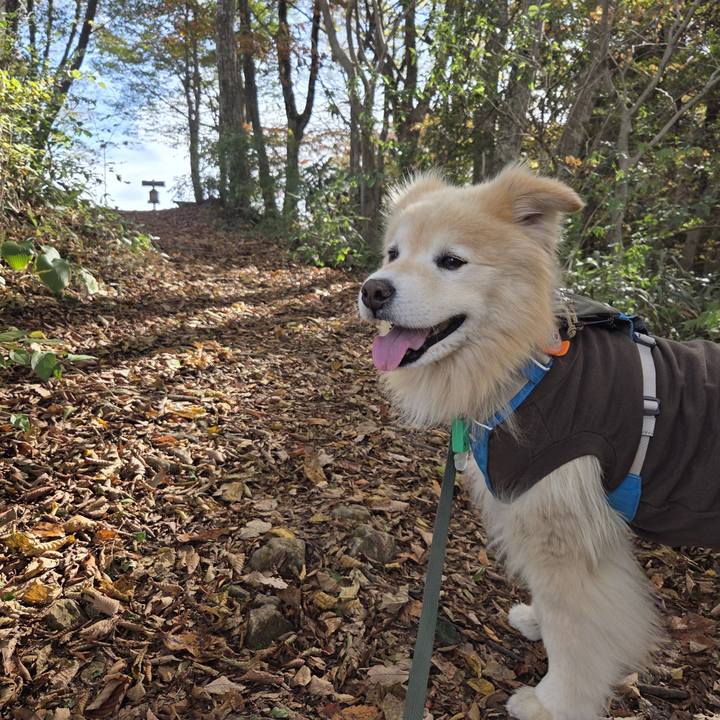 D5101a51 3232 4481 b076 b88922a16cc8 1763009741739