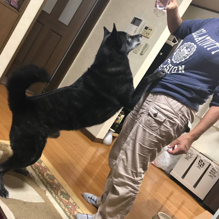 D5101c6a 0ccc 4c13 a03b 1aeefee91414 1509450968911