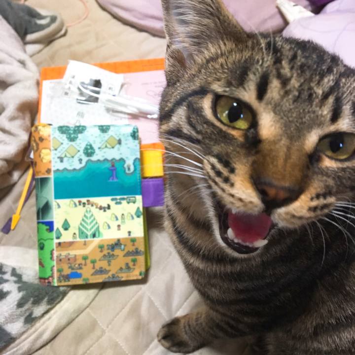 D5101fb3 50eb 4f56 9e80 fd40c35d43c2 1544509919786