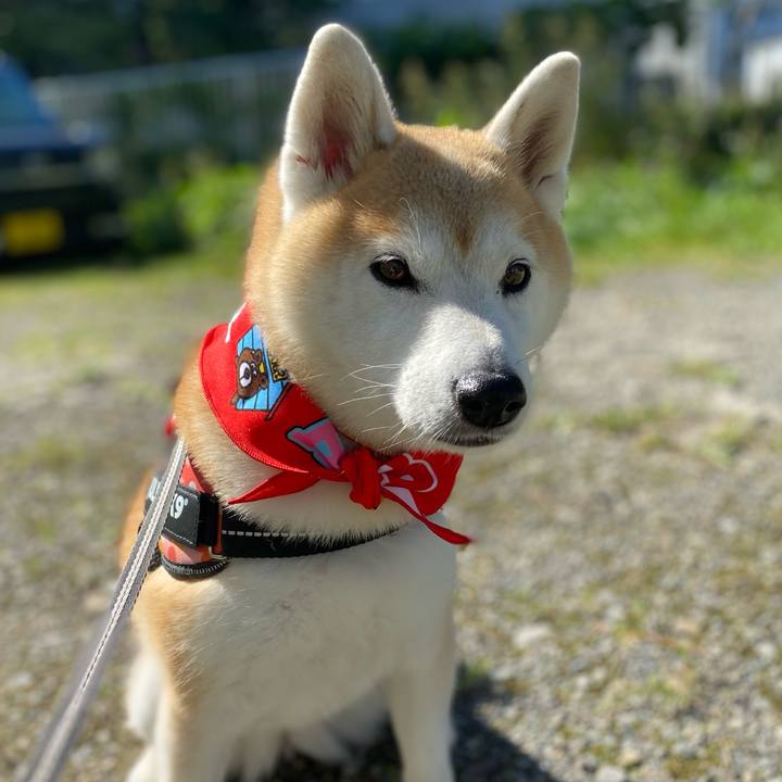 D5102eb0 c867 4666 a230 c89b6a25fe2e 1726663423895