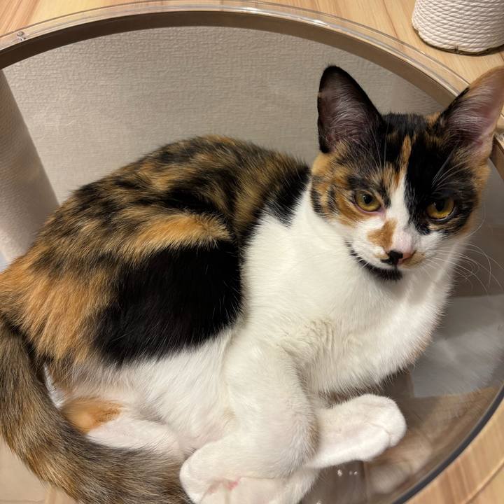 D5103222 f0d6 447d b63a 121b205e2bb8 1762773955541