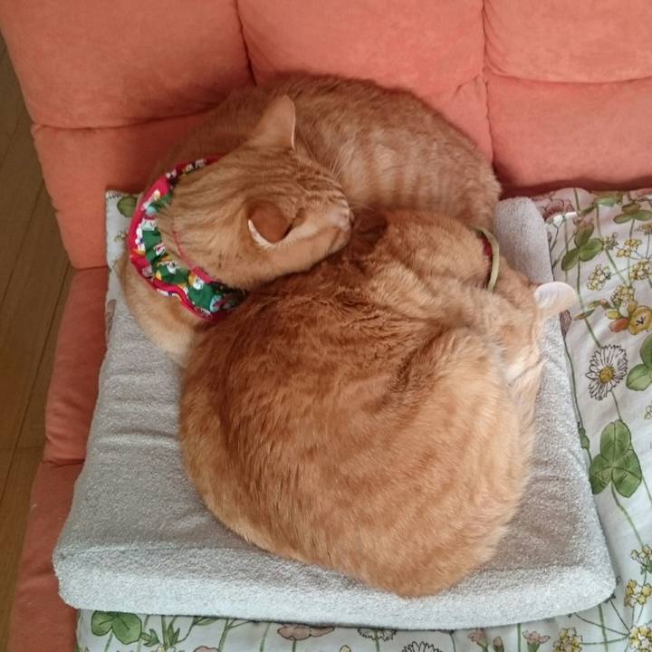 D5107971 db83 4abe 897f d99b32b8d987 1515128639952