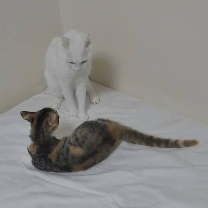 D51097fa 9b72 4036 96ee 1b8bf17ffe98 1630040344084