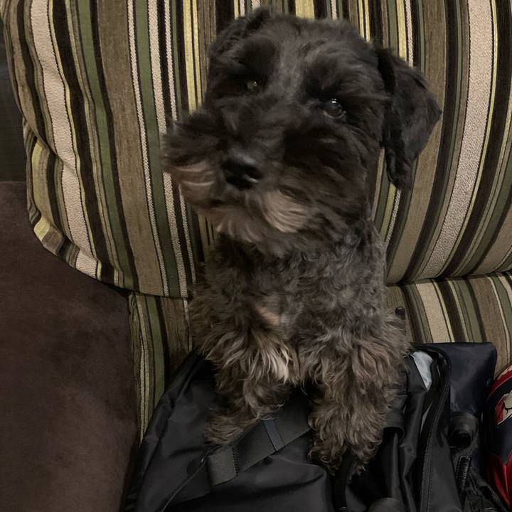 D510b3d5 26b5 44da 8b96 ceb35fc4eb63 1607733405442