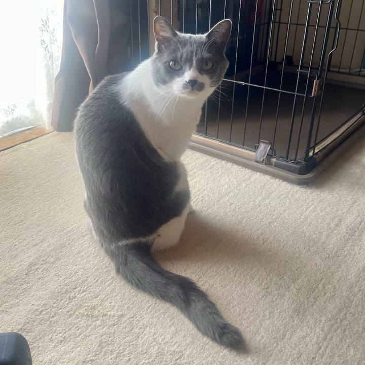 D510b7a6 2136 42cf 9f3f 7a275a7cb9d6 1680563504584