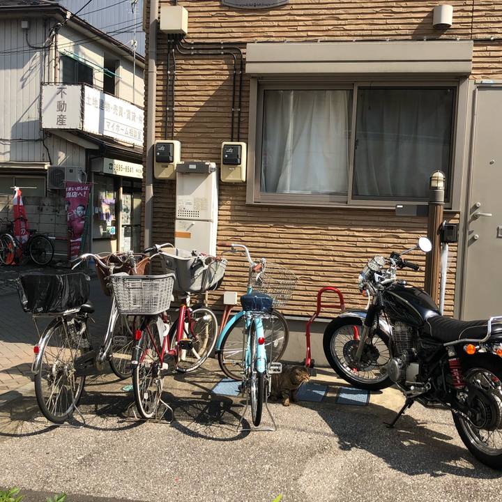 D510e7a0 f2aa 4659 baf3 de41945332fd 1570462565700