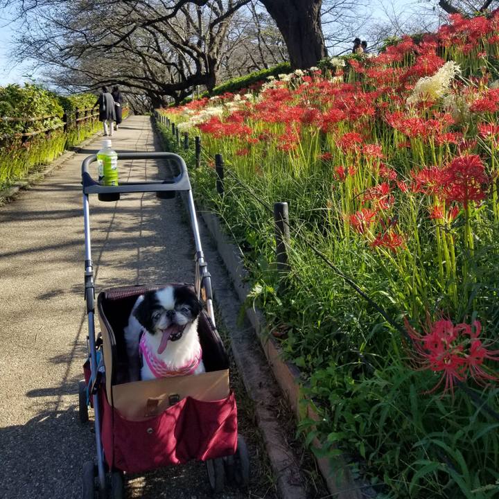 D5111159 2d35 4a01 9dcc 772b798b632f 1601281758280