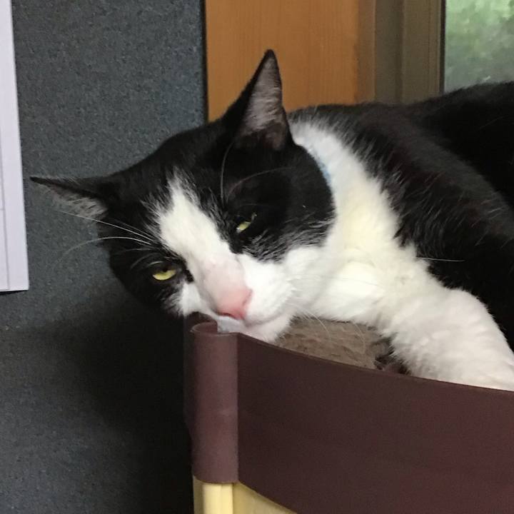 D5111c02 9fb8 4325 a073 434ec3bdb56d 1750426639999