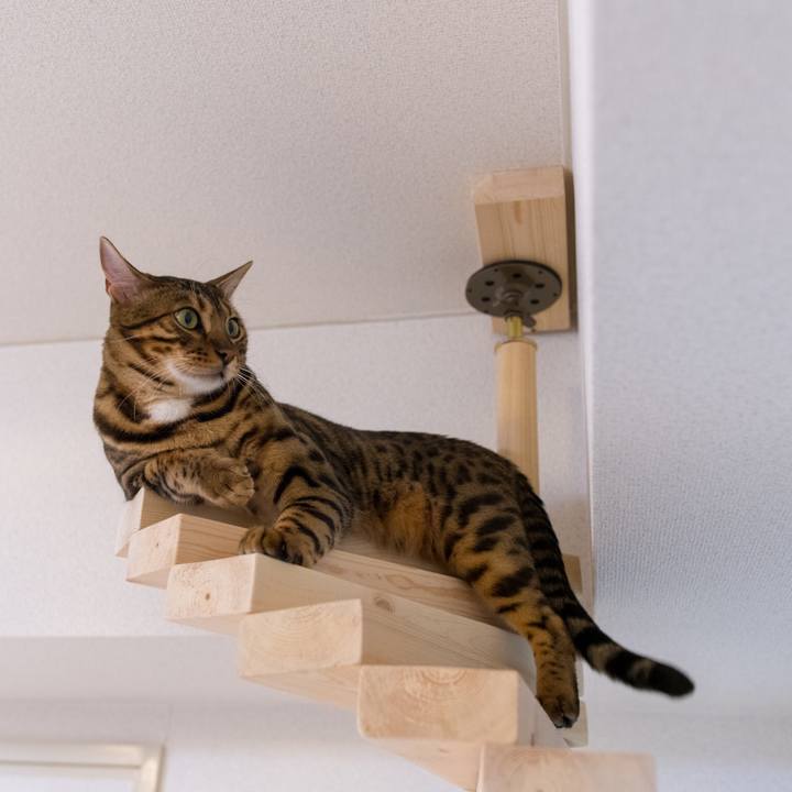 D5112a7a 8a76 4db3 8ca3 dfd29e4ccd4f 1519922274265