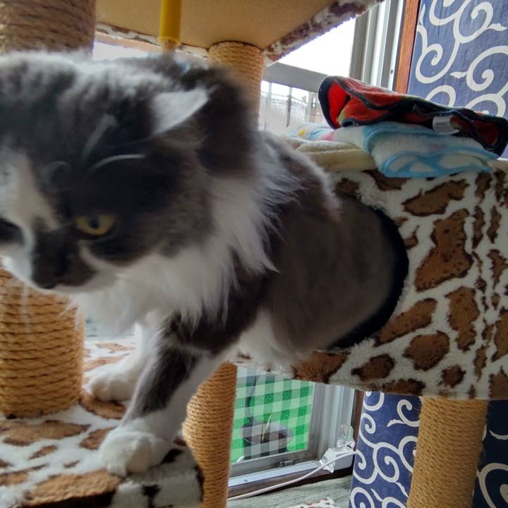 D51134cc 17d0 4320 b409 d00b134e5787 1626063743687