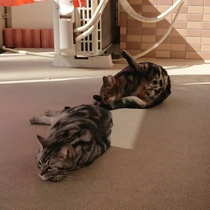 D511367f 56a6 47c6 8bf9 d32602eddc0e 1570593893915