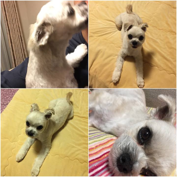 D5113983 b4b9 4a24 938c d7f453dc39d9 1527806266288