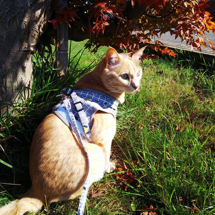 D51161af b03b 42fb 9a59 22c6d9ce9bf7 1635042673092