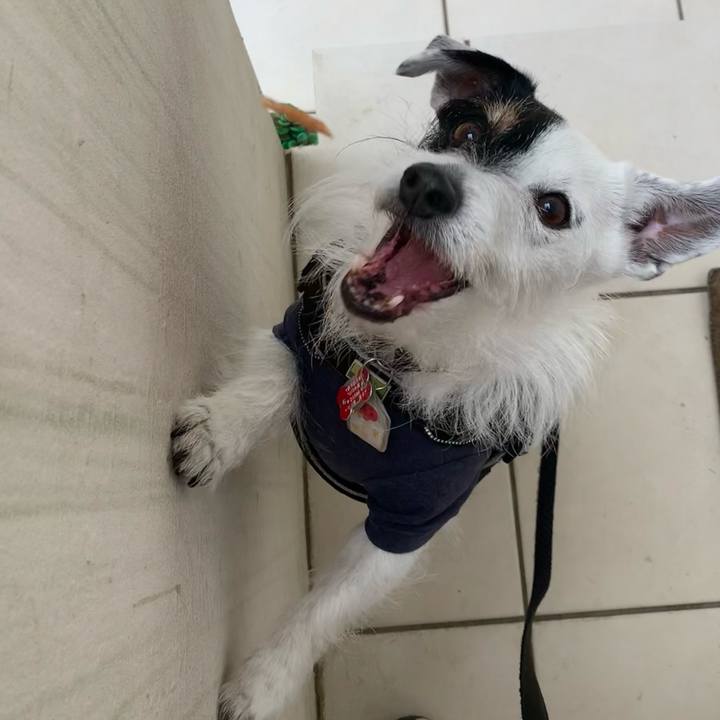 D5119eba 936b 4065 9e65 345a4c01448b 1713228108928