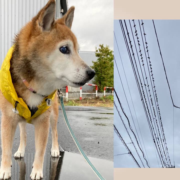 D511a648 4ba3 4d95 a187 d02d457fff45 1758355029223