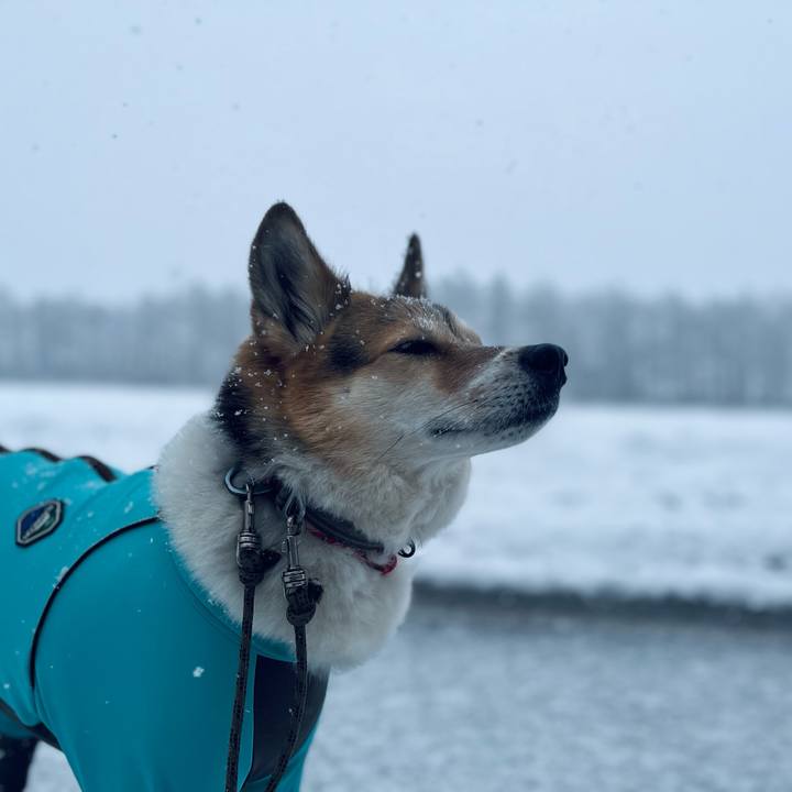 D511a99d 8496 43b0 a76c 3f9c079dad3d 1772498600751