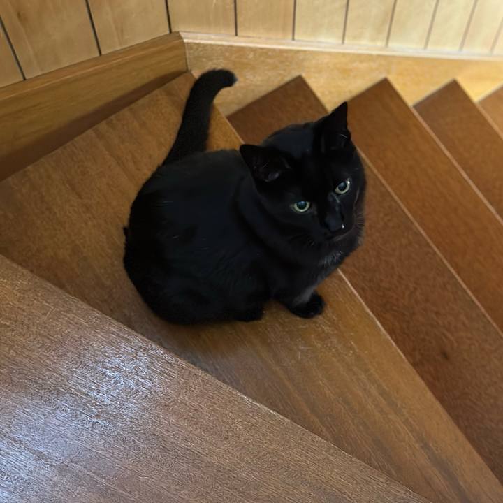 D511c72b 53b0 471f 903e 8cb24b59fff2 1680055908922