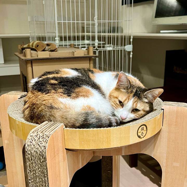 D511dbfa 88ee 420e 87b5 107f2dc4c4fe 1770521755541