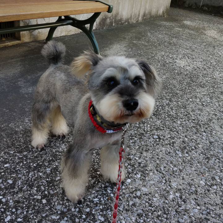 D511f080 7ebd 4c29 b950 6f2ca991e5af 1700015357092