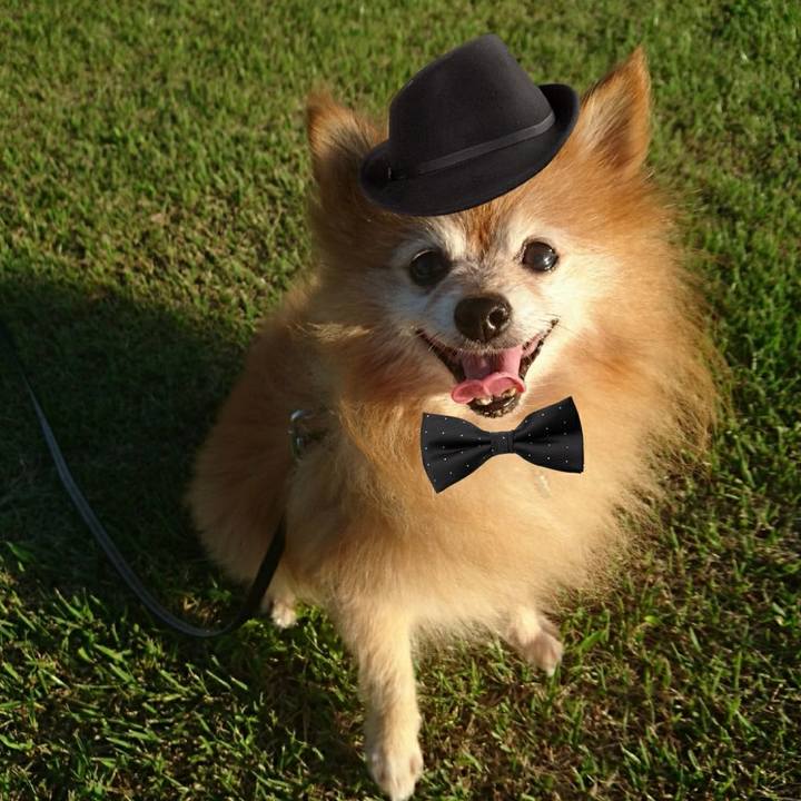 D512482f e00f 4b11 87fd 0d7f9e81ab7f 1536740094311