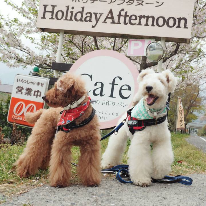 D5126121 6910 43b6 b357 8658c73decac 1522981004083