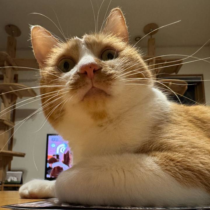 D51265e1 326f 4c23 bab1 a4f24ecd081a 1765888225401