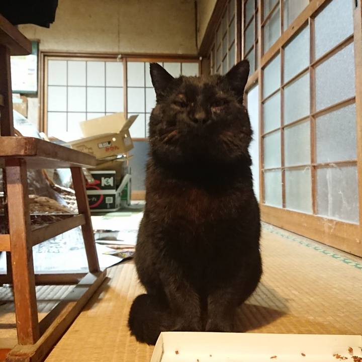 D512744f c359 44e5 b8e0 893442faee6b 1617618940188