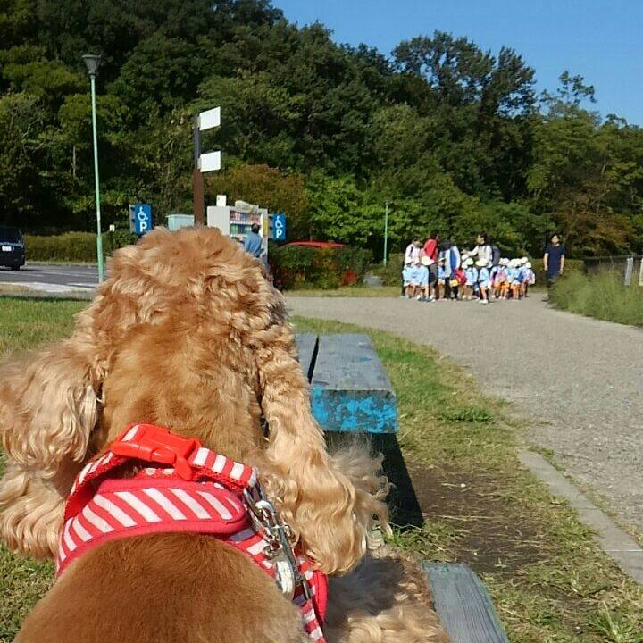 D51274d8 0c7f 4ee9 8a22 10d977e237e1 1509001491658